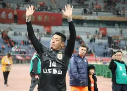 亚冠视频直播山东泰山一主光洲