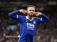 亚特兰大主教练加斯佩里尼